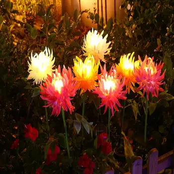 Слънчев Градински цветя брой осветява розова хризантема под формата на светлина DIY Предложение за пътеки, карам на пистата, на двора