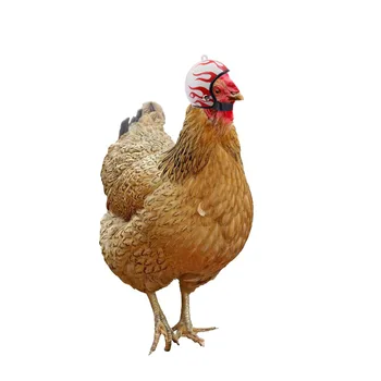 Нов горещ продаваният каска пиле зоотовары забавна защитна шапка пиле шапка пилешка каска за защита на главата на животното, определени за главата пиле