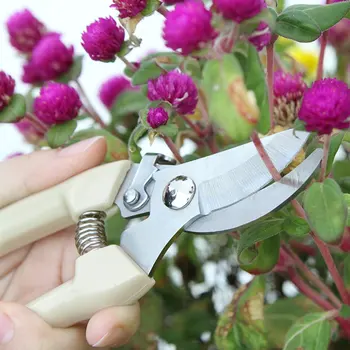Нови Преносими Градински Ножици За Присаждане Професионален Нож За Клони Ножици За Подрязване На Растения Кутия С Инструменти За Присаждане На Овощни Дървета