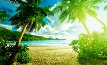 Летен сезон Палми, Слънце, Море, Плаж облак фонове Висококачествени компютърни разпечатки сватбен фон
