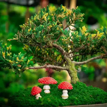 3 бр./компл., фигурка на гъбата от смола, декорация във формата на саксия за растения, прозрачни издълбани микро-пейзаж, светещи в тъмното миниатюрни гъби, градински принадлежности